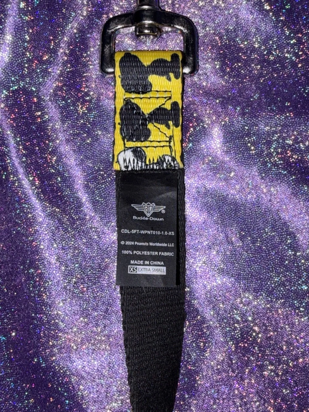 Snoopy Dog Leash